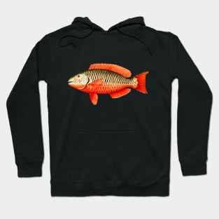 Red Parrot Tropical Fish Hoodie